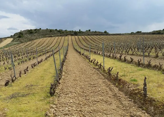 Palacio De 4* Samaniego