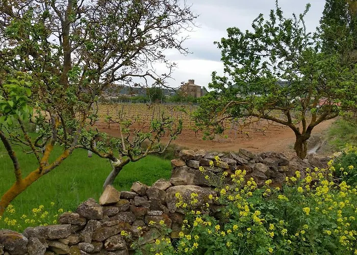 Hotel Palacio De Samaniego