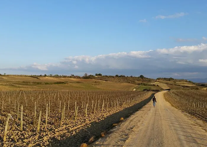 Palacio De Hotel Samaniego