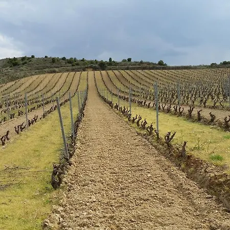 Palacio De 4* Samaniego