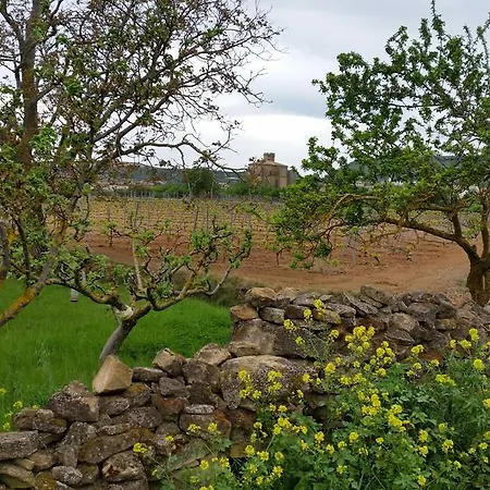 Hotel Palacio De Samaniego