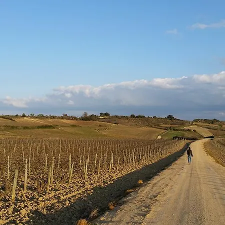 Palacio De Hotel Samaniego